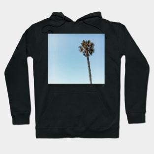 Palm Tree in Los Angeles Hoodie